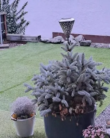 Viva Crans-montana, Rapport Qualite Prix Imbattable Διαμέρισμα *